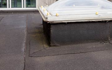 disadvantages of Out Newton flat roofs