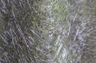 Out Newton fibreglass roof work